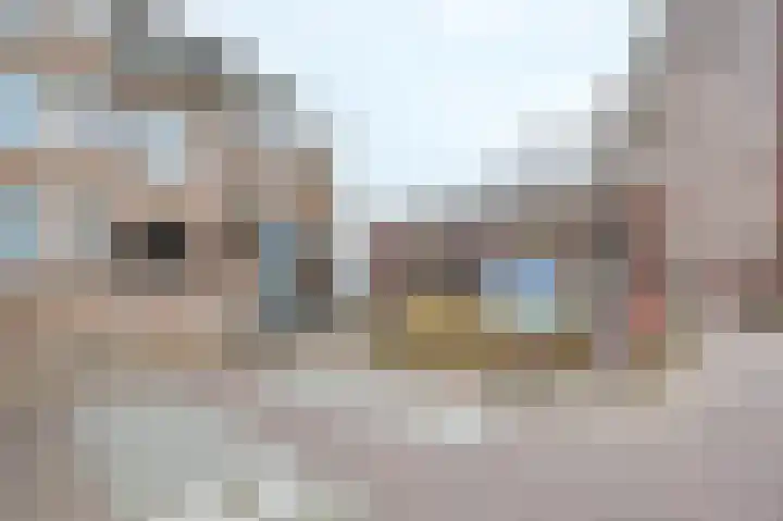 De Gouden Leeuw 70 Venray thumbnail 4