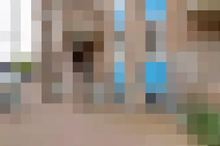 De Gouden Leeuw 70 Venray thumbnail 5