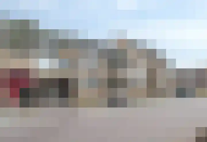 De Gouden Leeuw 70 Venray thumbnail 6