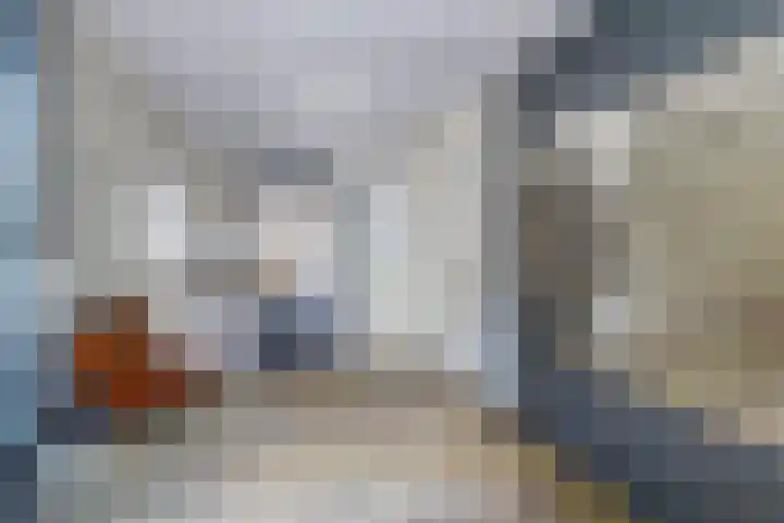 De Gouden Leeuw 70 Venray thumbnail 8