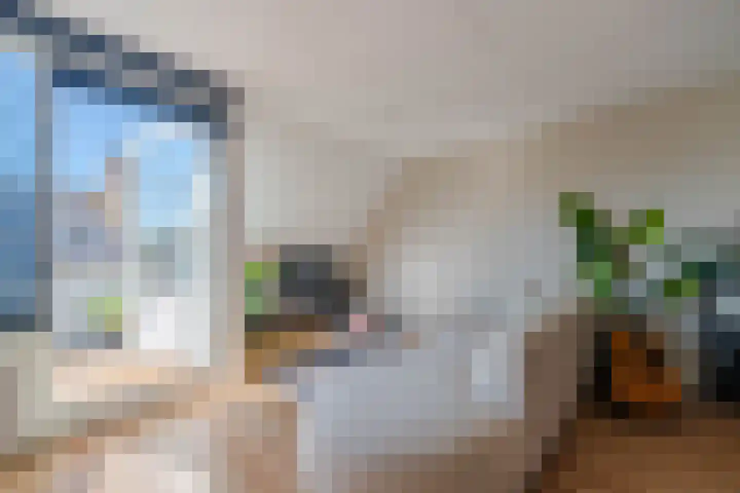 De Gouden Leeuw 81 Venray thumbnail 10