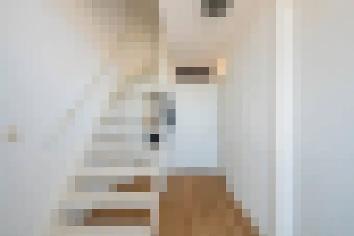 De Gouden Leeuw 81 Venray thumbnail 6