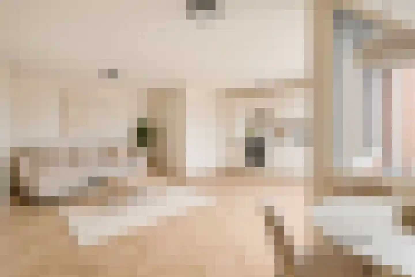 De Gouden Leeuw 87 Venray thumbnail 11