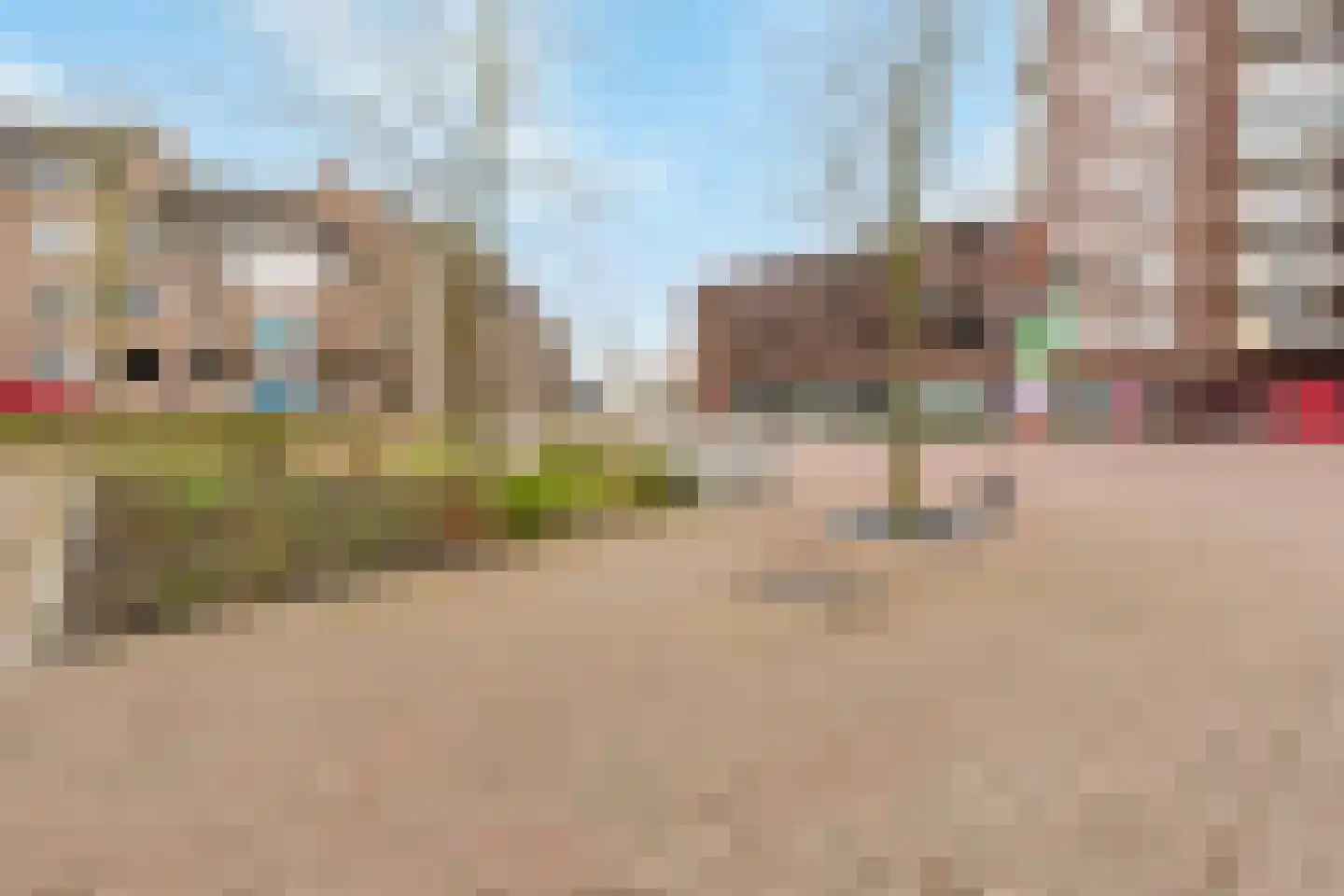De Gouden Leeuw 87 Venray thumbnail 30