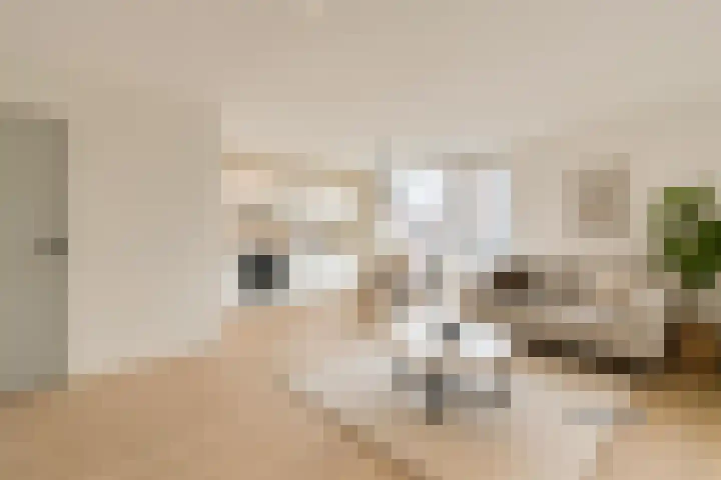 De Gouden Leeuw 87 Venray thumbnail 9