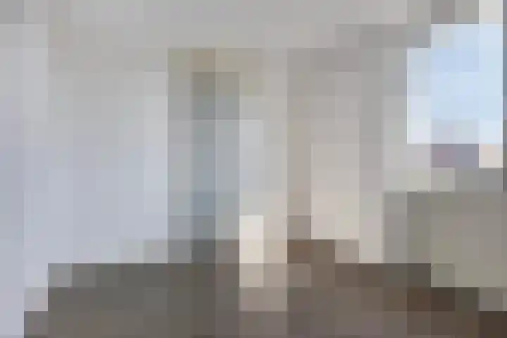 De Gouden Leeuw 89 Venray thumbnail 10