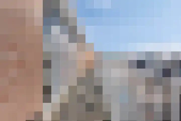 De Gouden Leeuw 89 Venray thumbnail 20