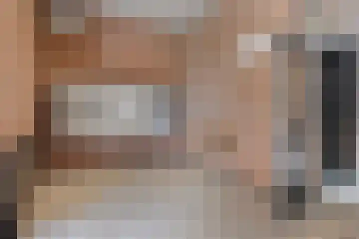 De Gouden Leeuw 89 Venray thumbnail 21
