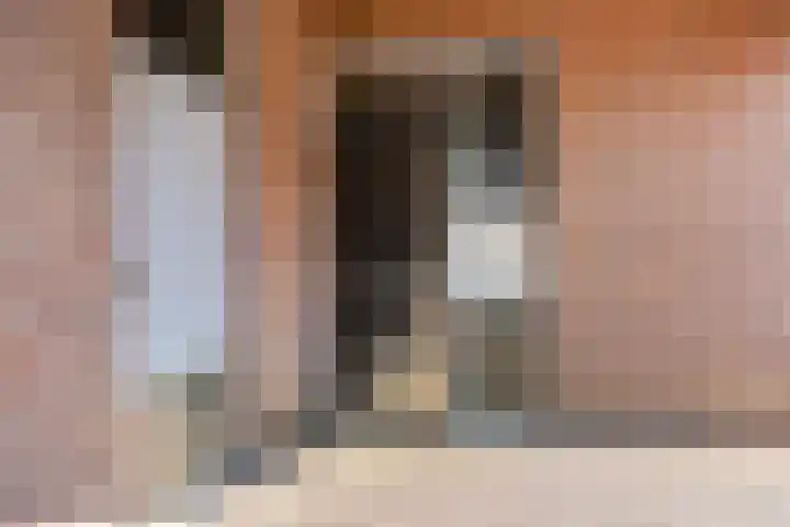 De Gouden Leeuw 89 Venray thumbnail 22