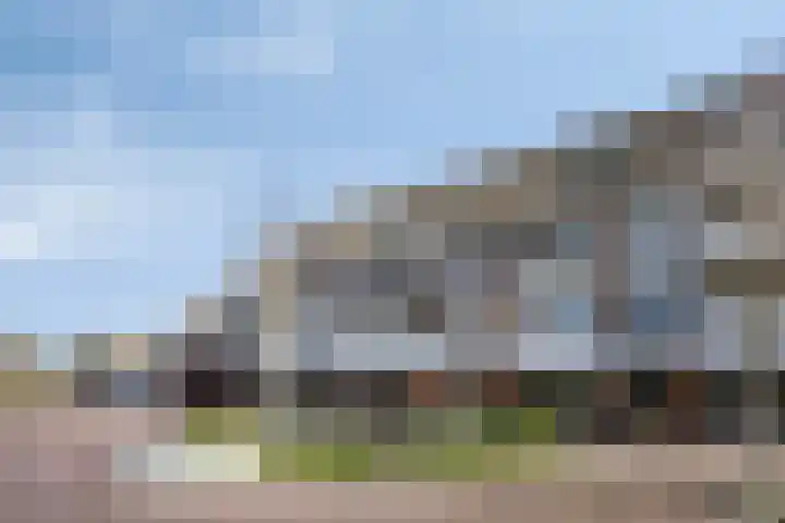 De Gouden Leeuw 89 Venray thumbnail 24