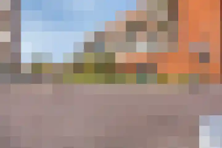 De Gouden Leeuw 89 Venray thumbnail 26