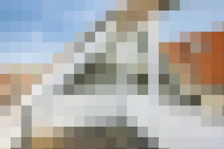 De Gouden Leeuw 89 Venray thumbnail 5