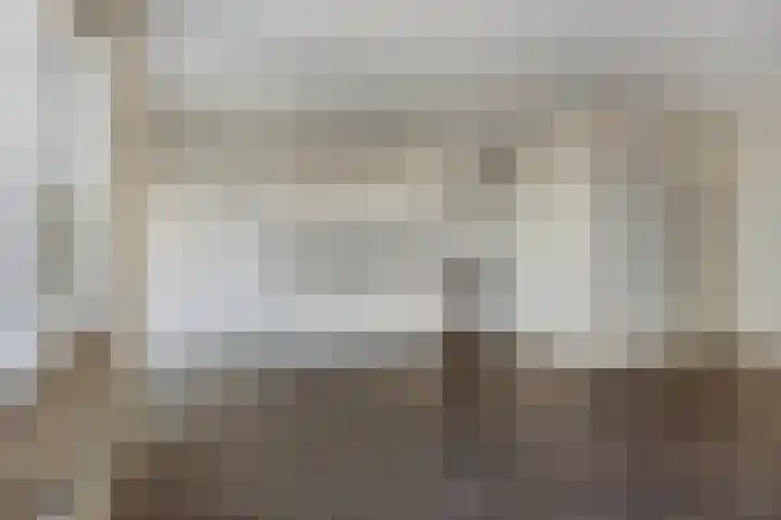 De Gouden Leeuw 89 Venray thumbnail 8