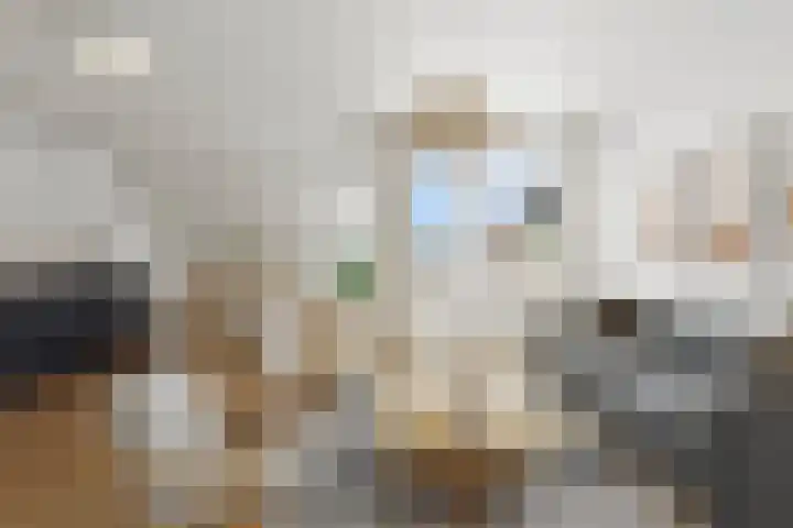 De Gouden Leeuw 91 Venray thumbnail 12