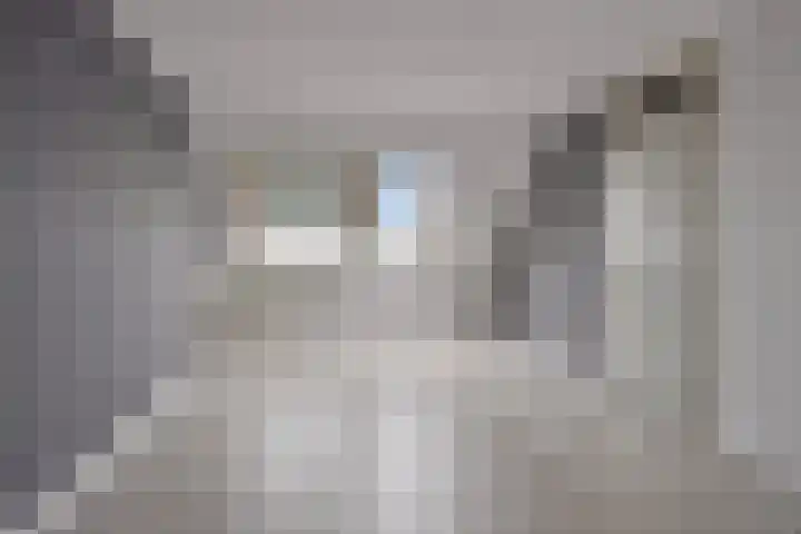 De Gouden Leeuw 91 Venray thumbnail 20