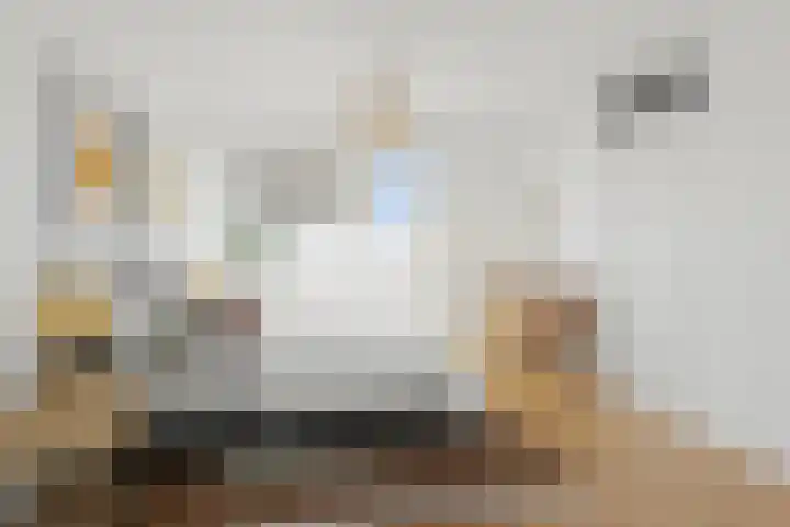 De Gouden Leeuw 91 Venray thumbnail 21