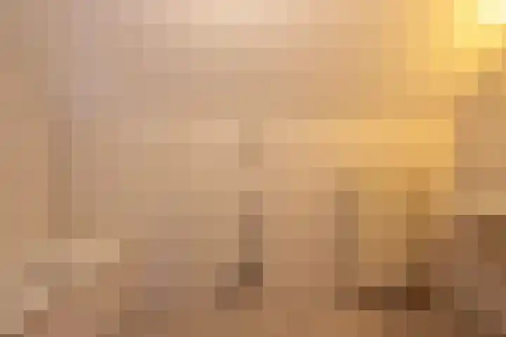 De Gouden Leeuw 91 Venray thumbnail 23