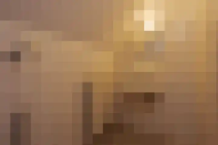 De Gouden Leeuw 91 Venray thumbnail 24