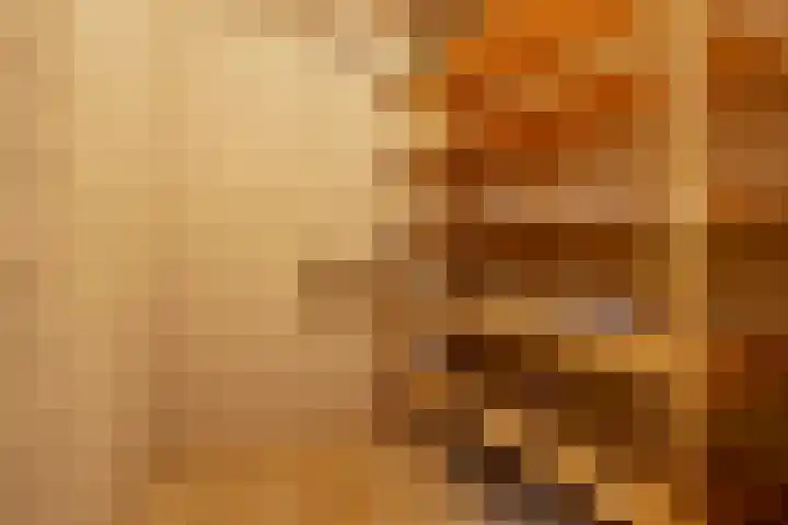 De Gouden Leeuw 91 Venray thumbnail 27