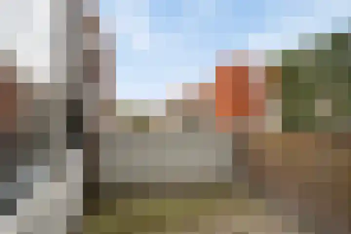 De Gouden Leeuw 91 Venray thumbnail 28