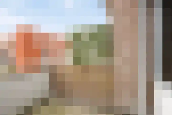 De Gouden Leeuw 91 Venray thumbnail 29