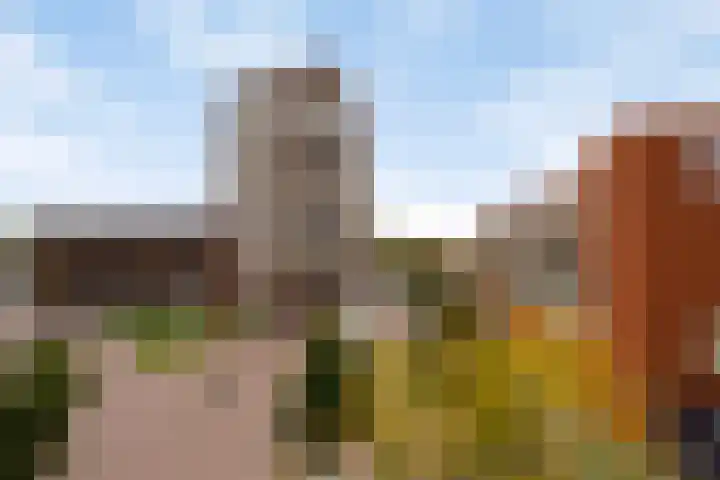 De Gouden Leeuw 91 Venray thumbnail 30