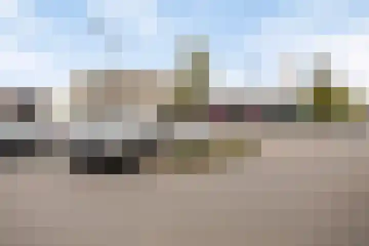 De Gouden Leeuw 91 Venray thumbnail 33