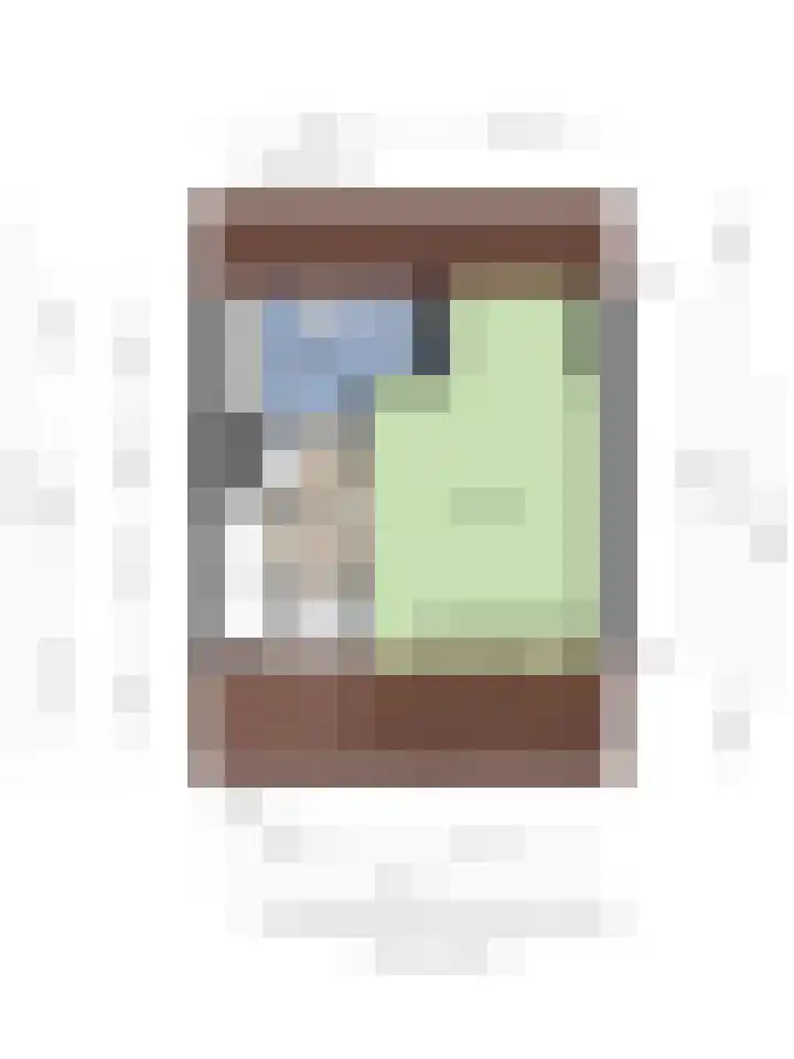 De Gouden Leeuw 91 Venray thumbnail 36