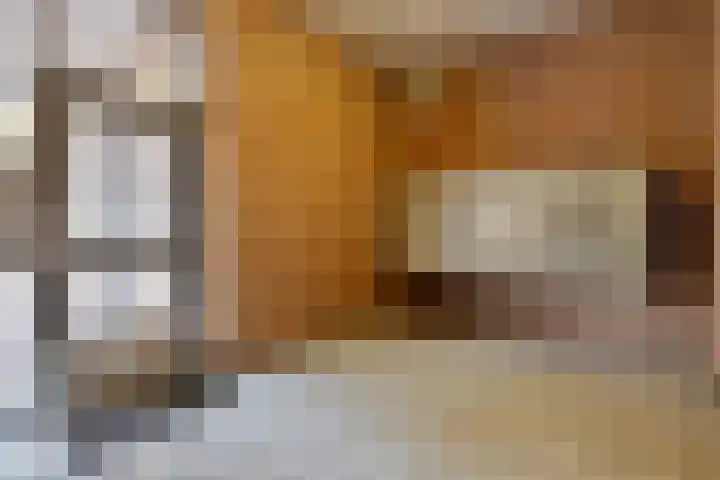 De Gouden Leeuw 91 Venray thumbnail 4
