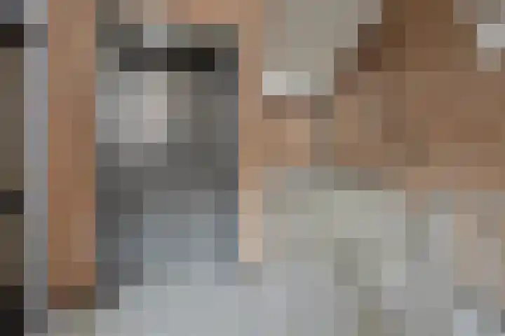 De Gouden Leeuw 91 Venray thumbnail 5