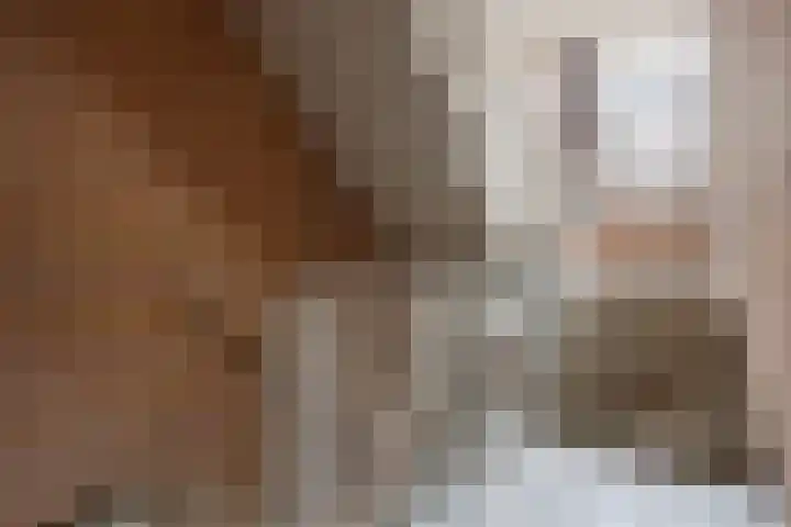 De Gouden Leeuw 91 Venray thumbnail 6