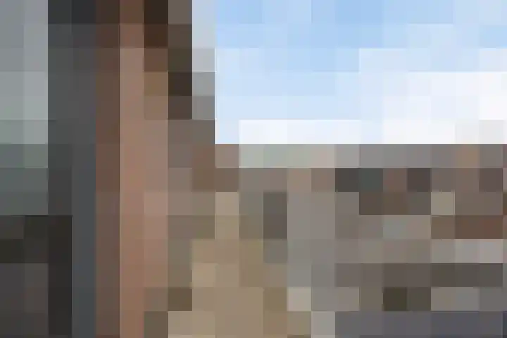 De Gouden Leeuw 91 Venray thumbnail 8