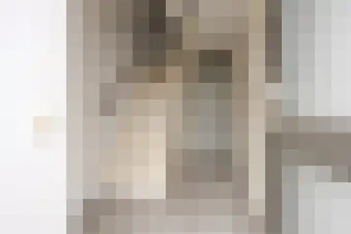 De Gouden Leeuw 91 Venray thumbnail 9
