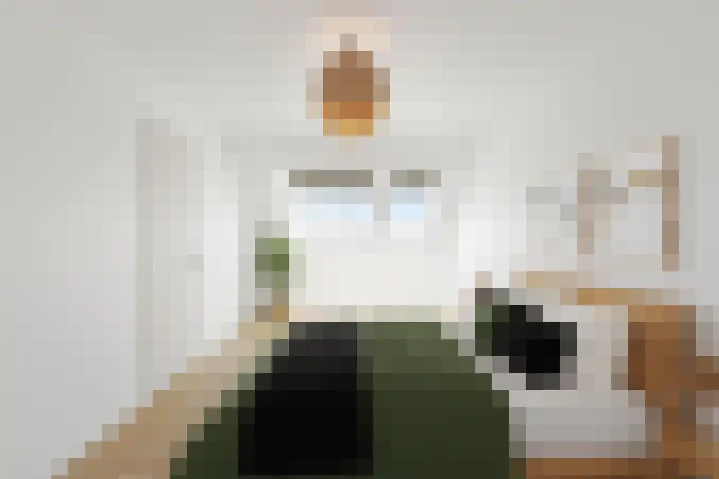 De Gouden Leeuw 95 Venray thumbnail 18