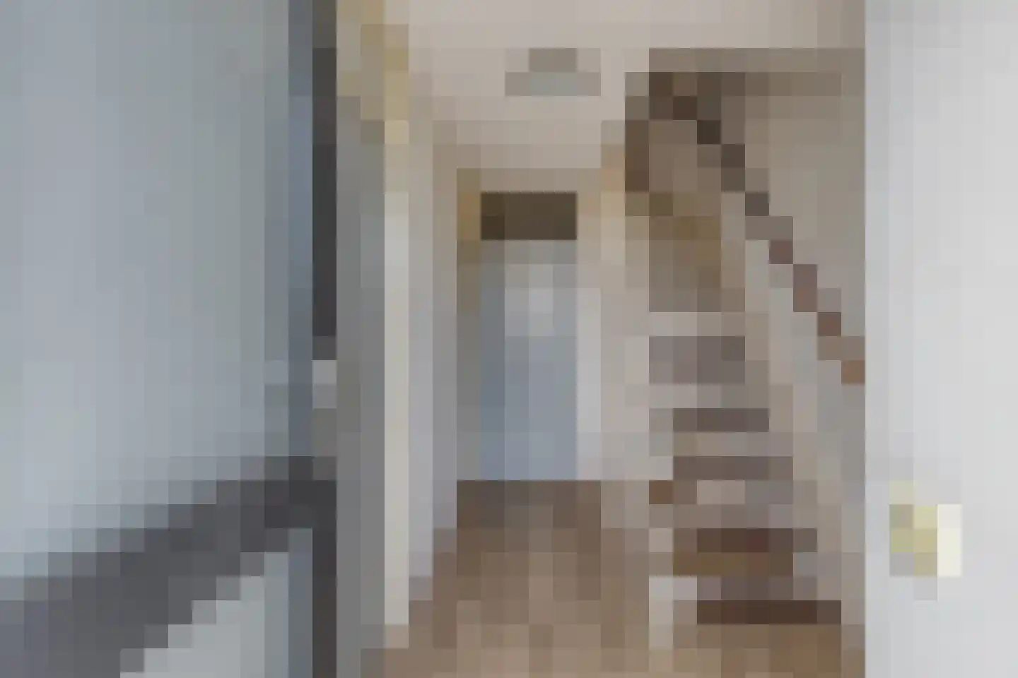 De Gouden Leeuw 95 Venray thumbnail 23