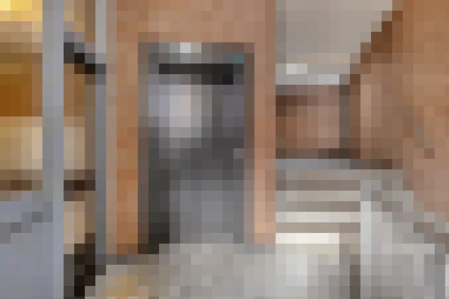 De Gouden Leeuw 95 Venray thumbnail 25