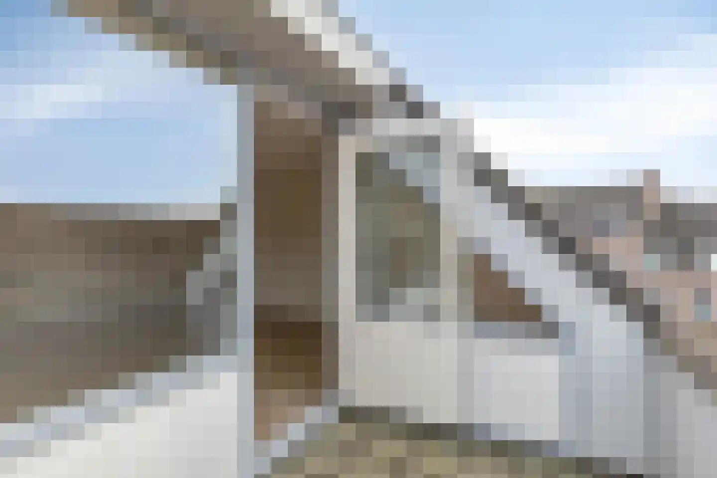 De Gouden Leeuw 95 Venray thumbnail 8