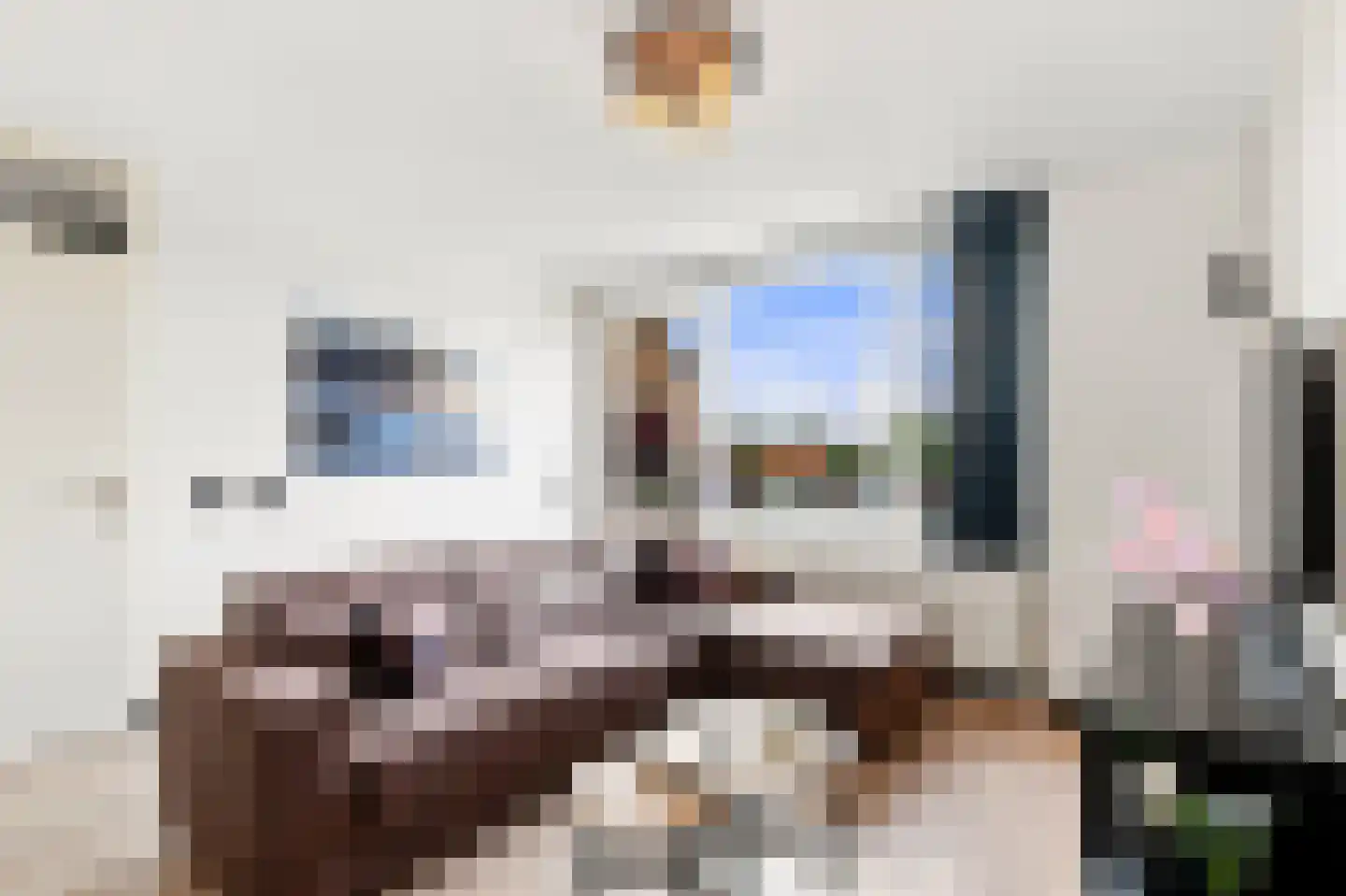 De Gouden Leeuw 98 Venray thumbnail 17