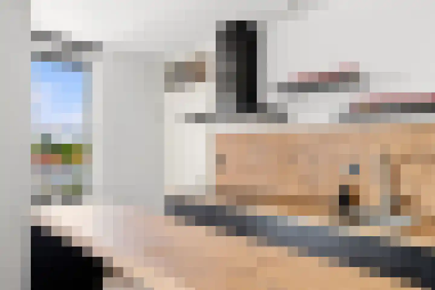 De Gouden Leeuw 98 Venray thumbnail 20