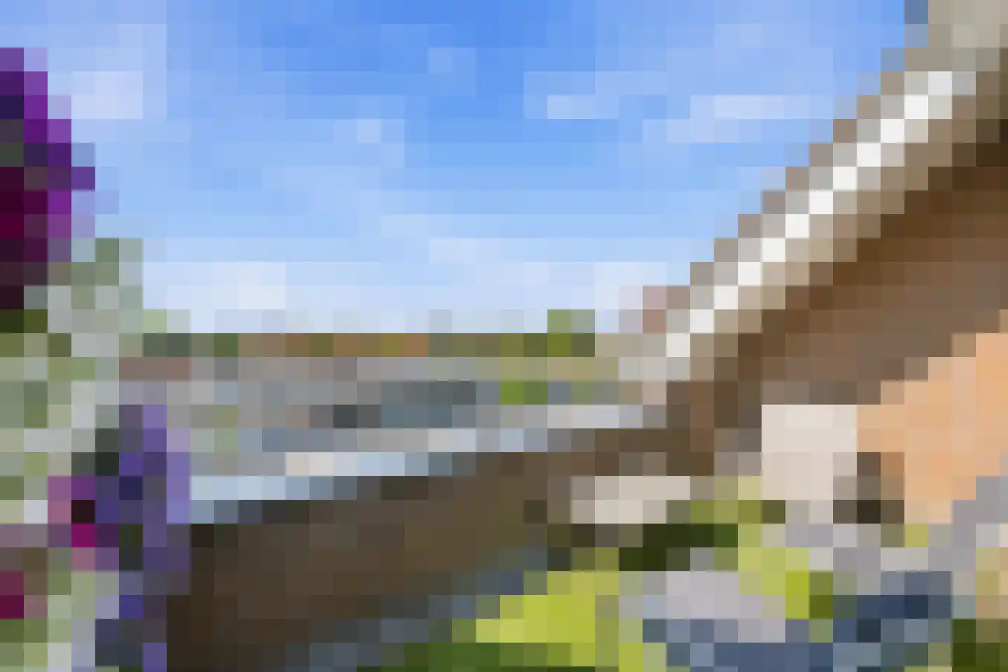De Gouden Leeuw 98 Venray thumbnail 22
