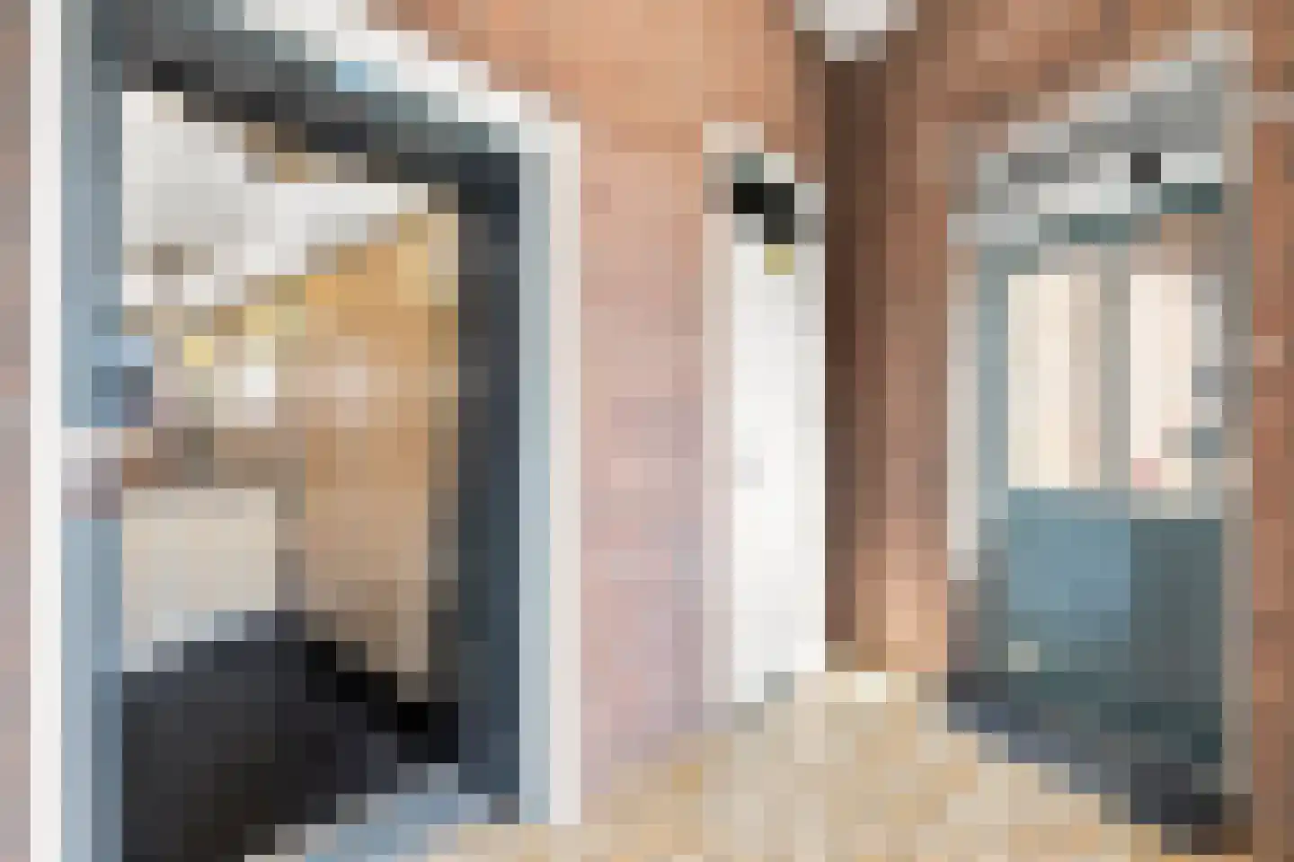 De Gouden Leeuw 98 Venray thumbnail 35