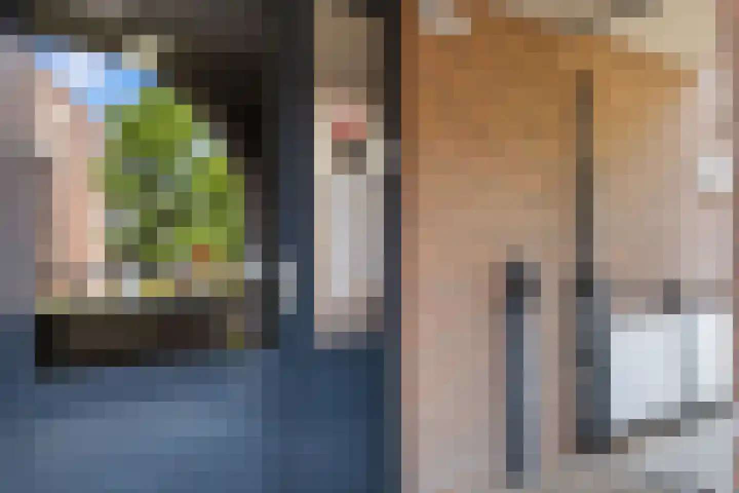De Gouden Leeuw 98 Venray thumbnail 36