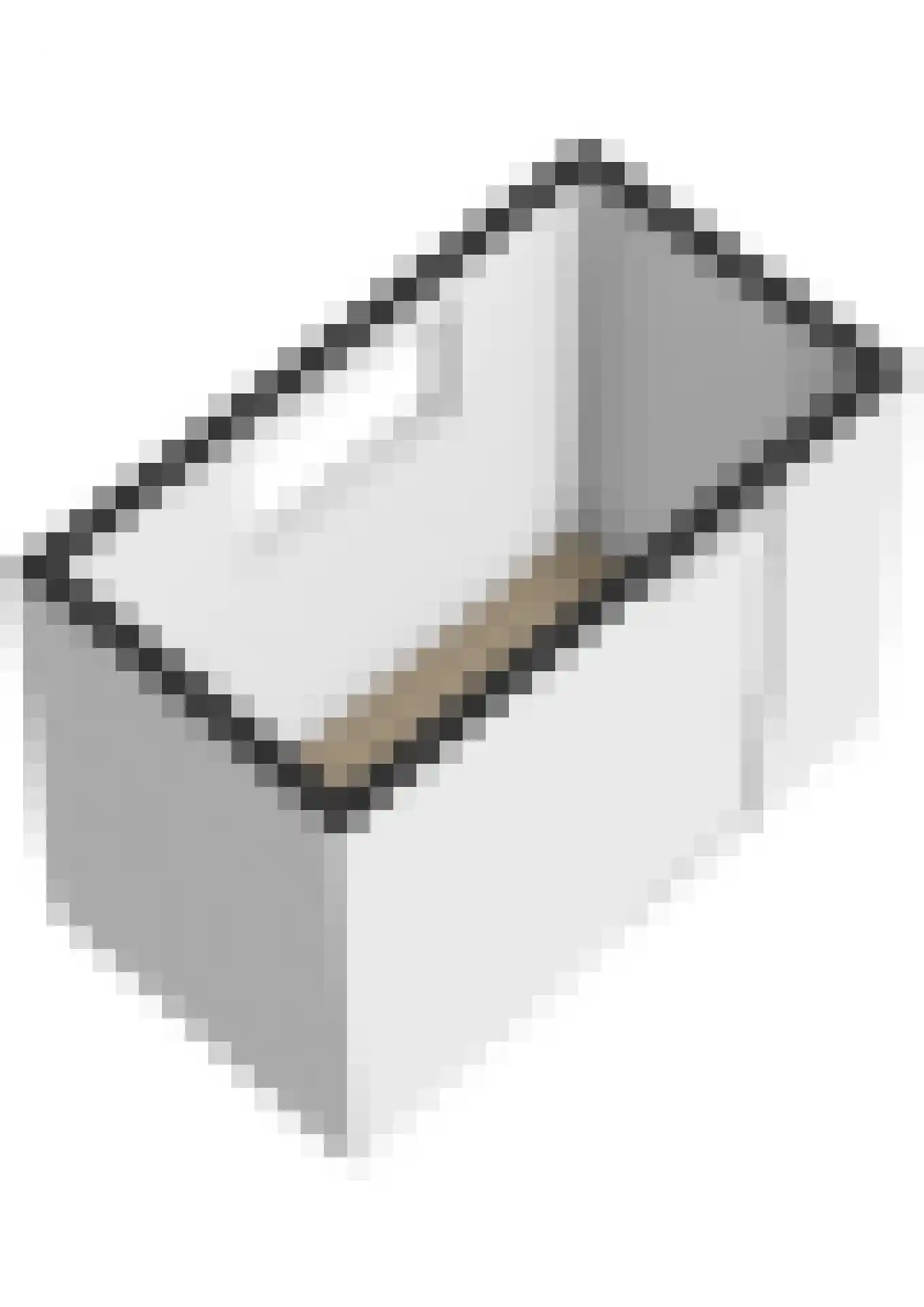 De Gouden Leeuw 98 Venray thumbnail 38