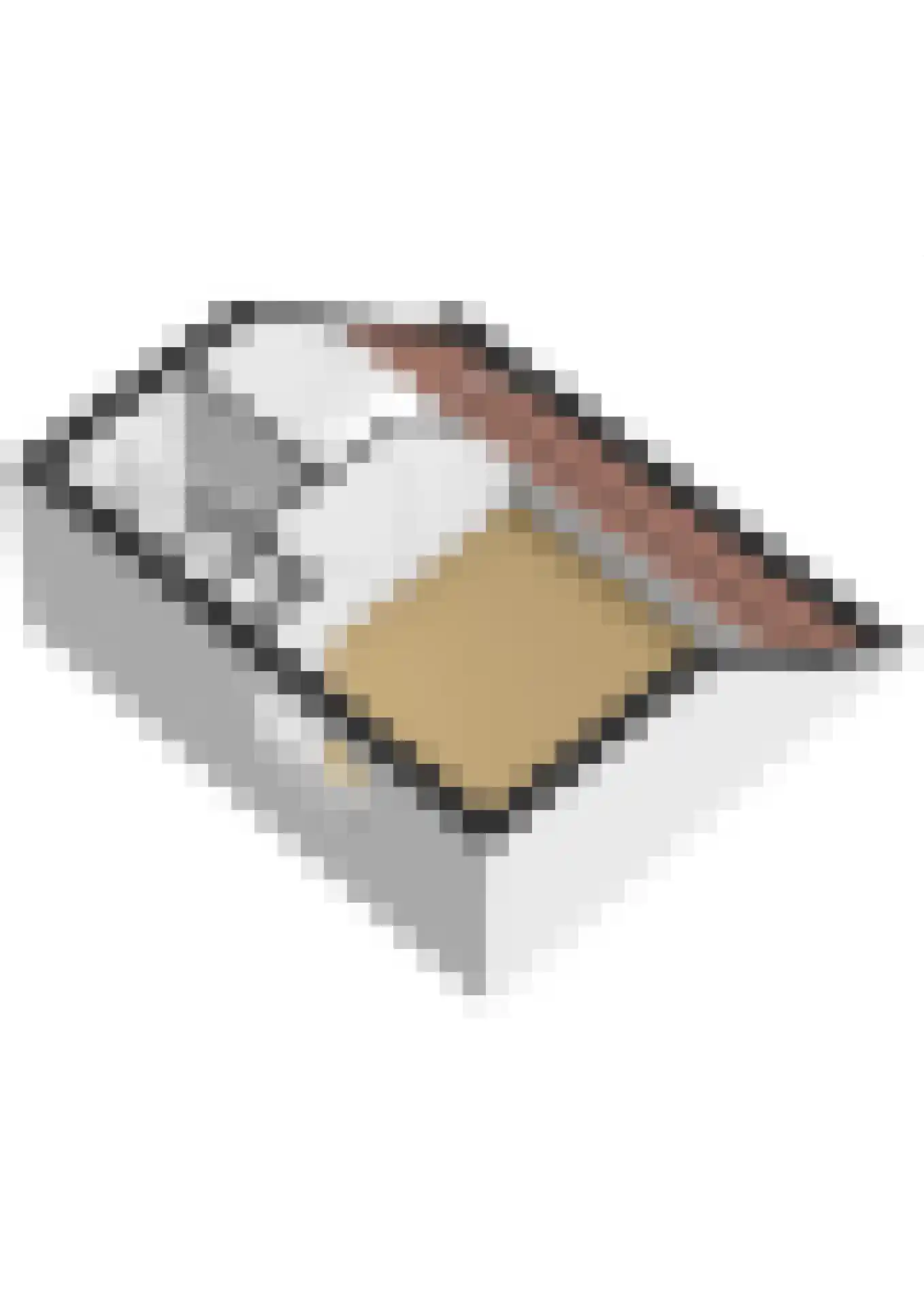 De Gouden Leeuw 98 Venray thumbnail 45