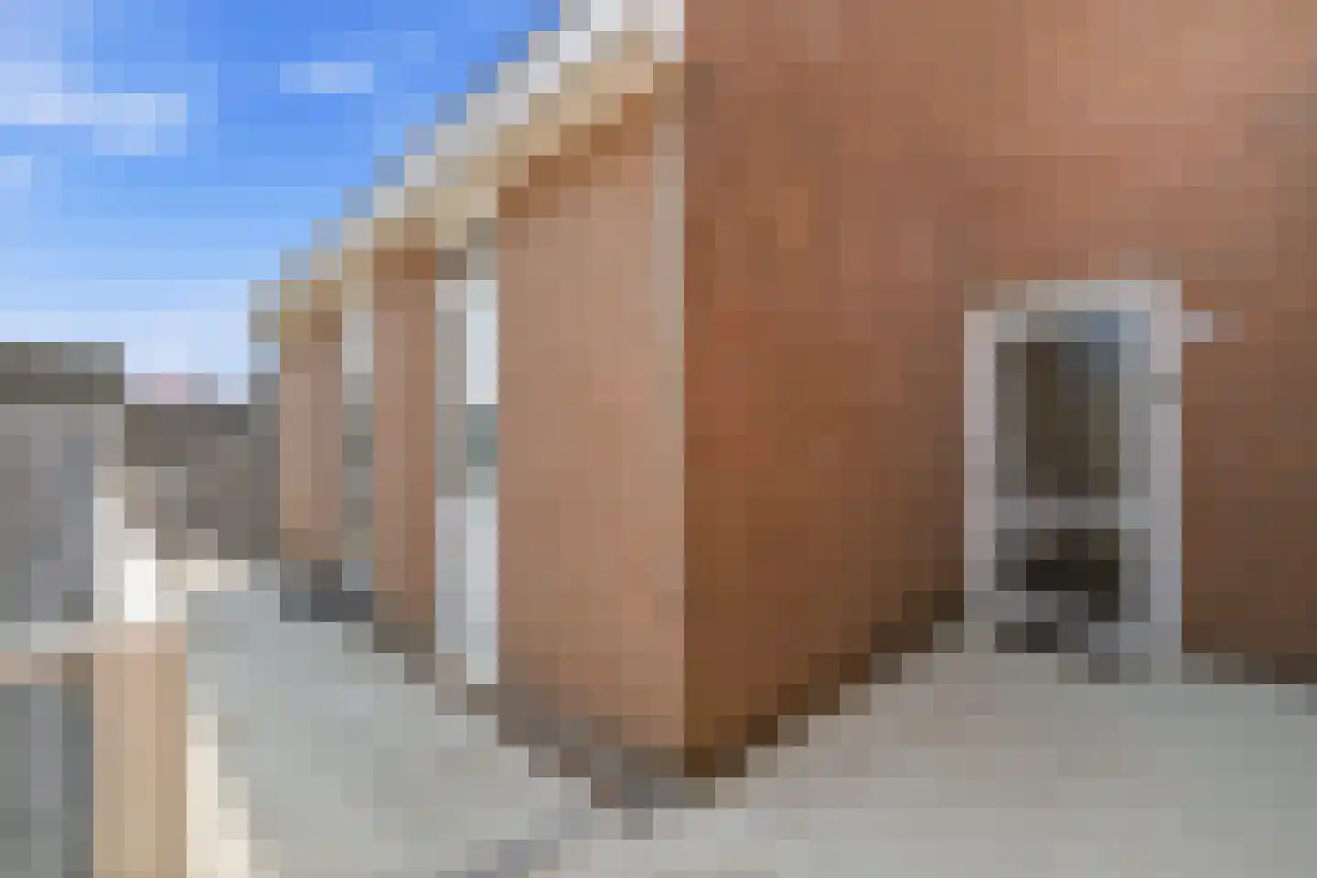 De Gouden Leeuw 98 Venray thumbnail 9
