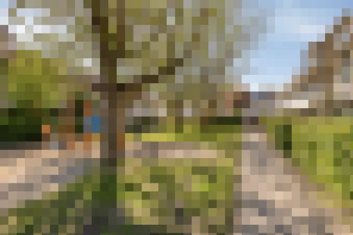 De Gouden Ploeg 71 Amersfoort thumbnail 30