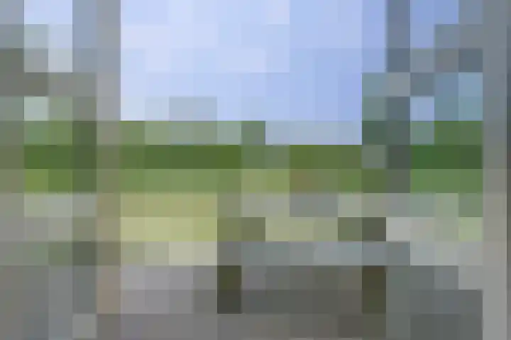 De Goudplevier 1 Harlingen thumbnail 18