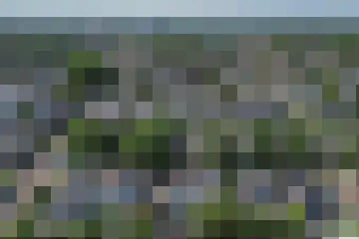 De Goudplevier 1 Harlingen thumbnail 22