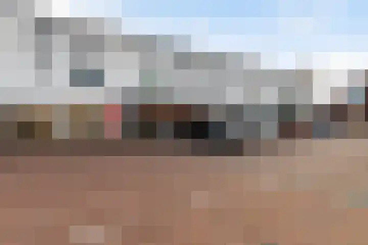 De Goudplevier 1 Harlingen thumbnail 40