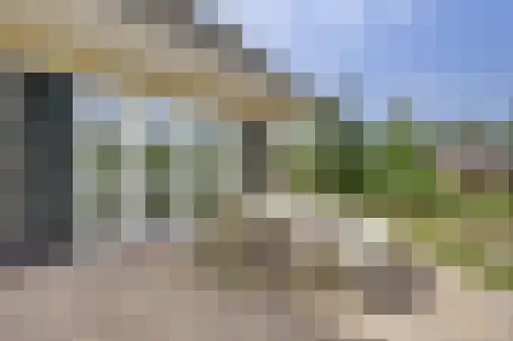 De Goudplevier 1 Harlingen thumbnail 45